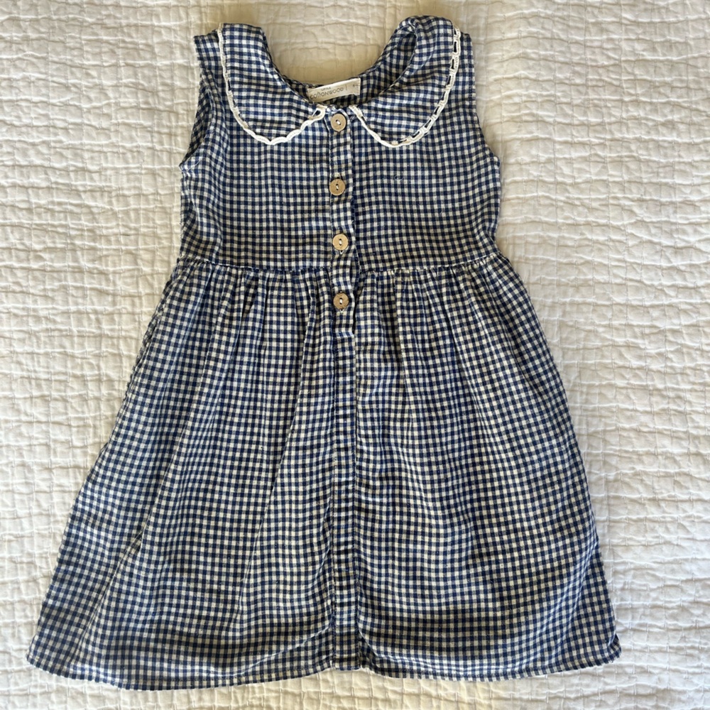 Little Cottonwood Girls Blue Gingham Rosie Dress